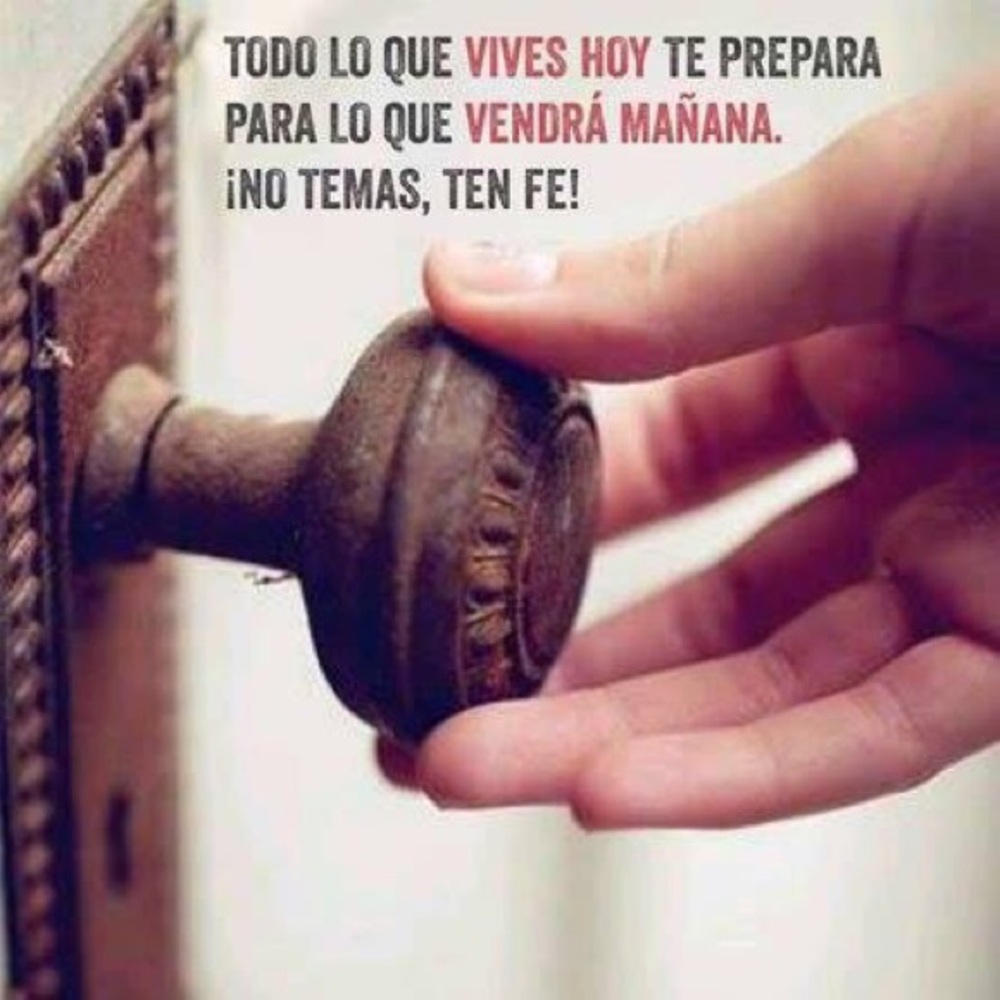 Meet your Posher, Giannina